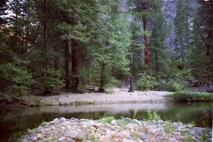Camp Irene.